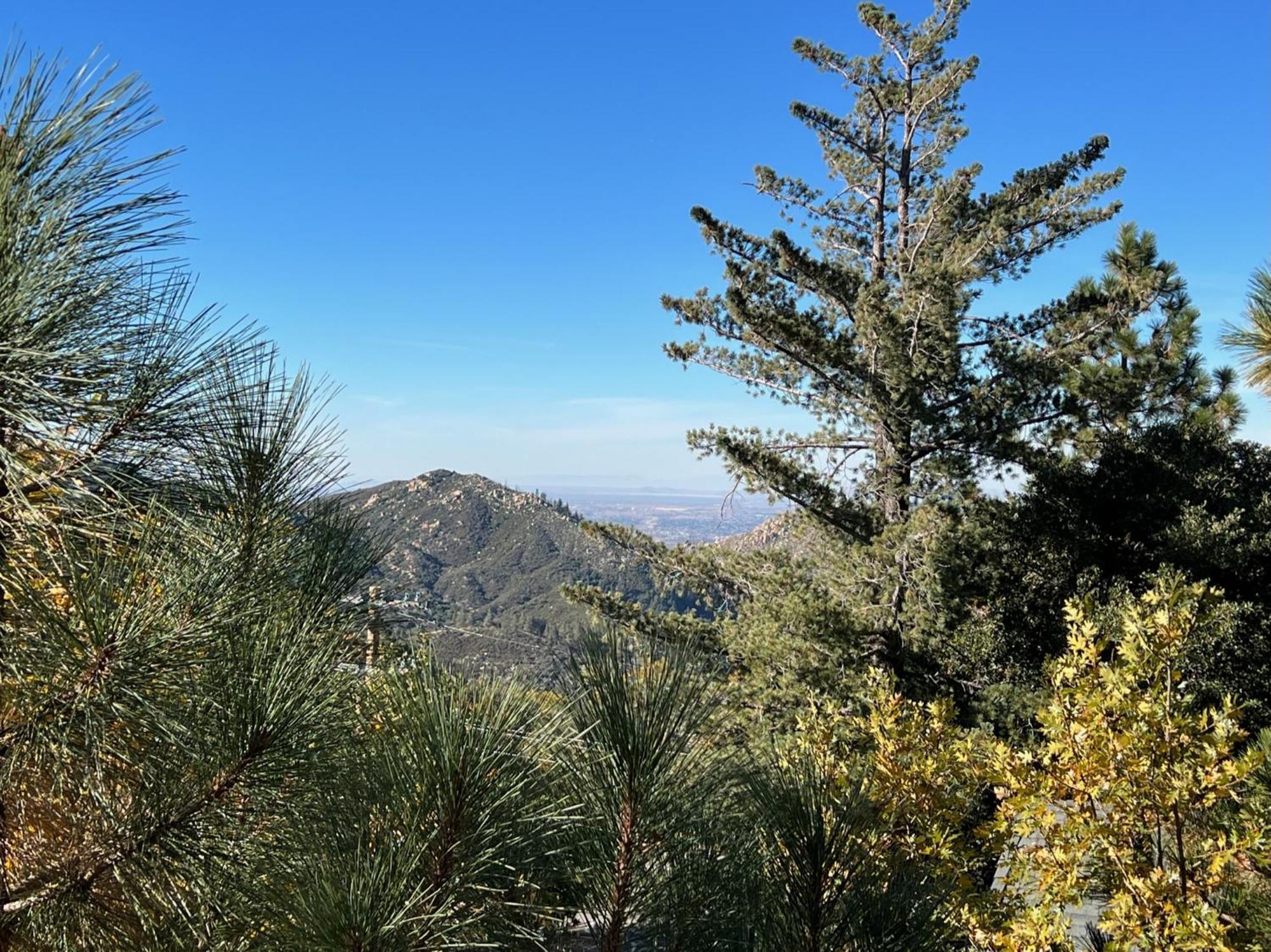 Ev Level 2, Pets Welcome At Sunset Ridge Lake Arrowhead Buitenkant foto
